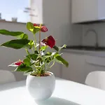 Casa Leucosia *